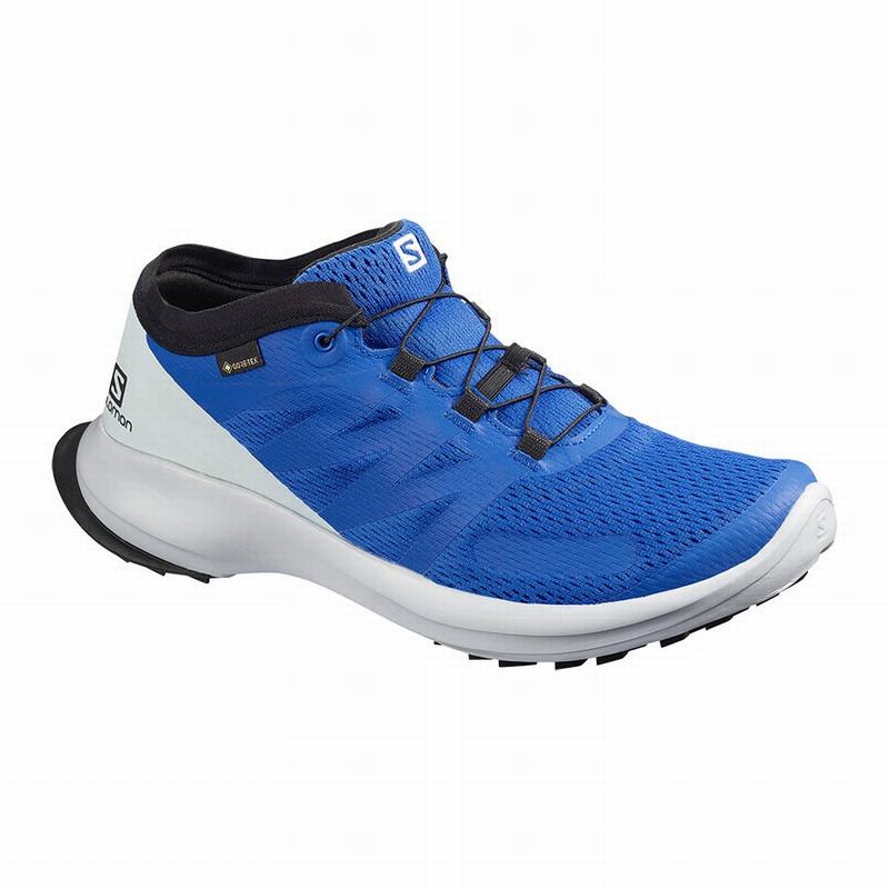 SALOMON SENSE FLOW GTX Philippines - Men's Trail Running Shoes - Blue | 508192-PNH